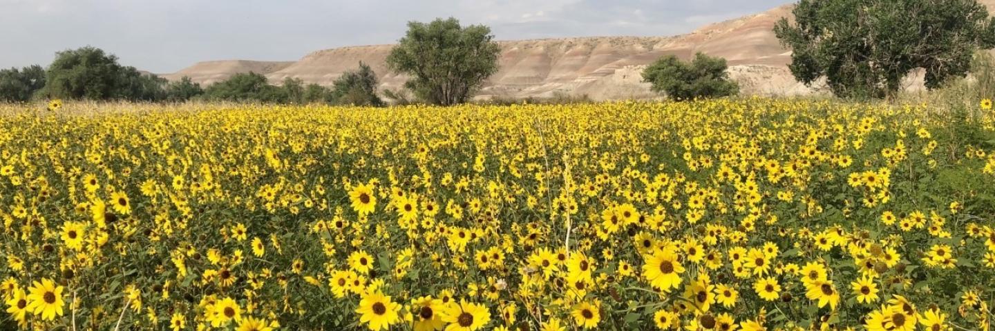 Celebrating Earth Day and Conservation on Utah’s Farms and Ranches