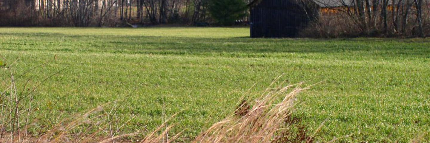 Connecticut farm field