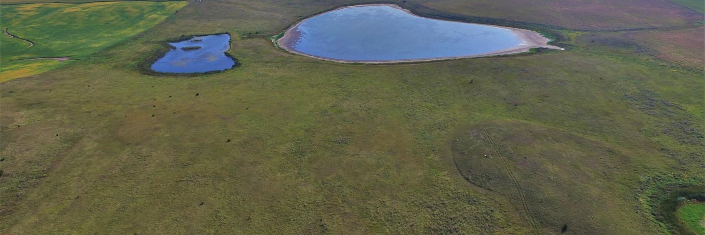 Aerial view of wetlands in northeastern South Dakota.