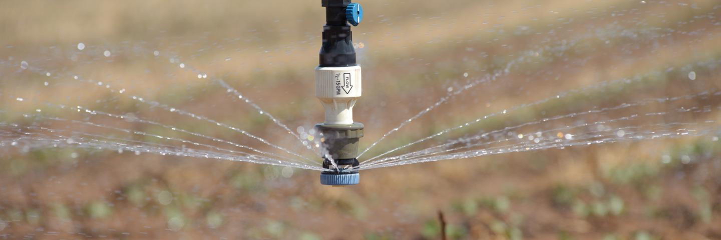 Center pivot irrigation on a cotton crop in Texas.