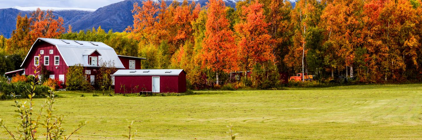 Alaska Farm in autumn