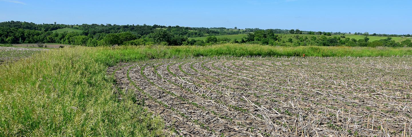 A newly constructed terrace helps control erosion on this crop field in Warren County, Iowa.