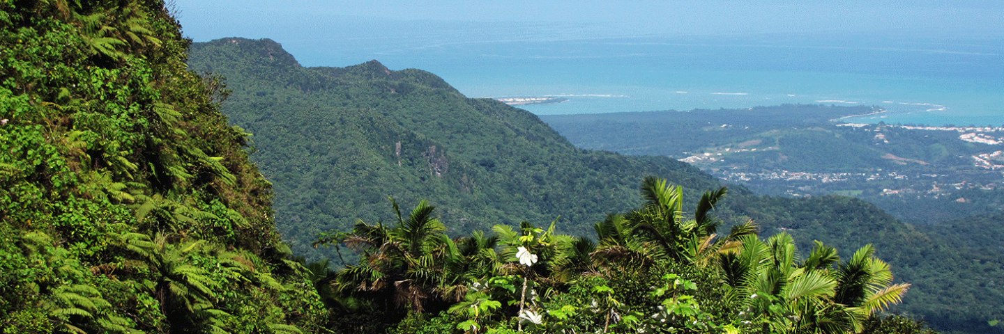 North view of El Yunque - Caribbean National Forest