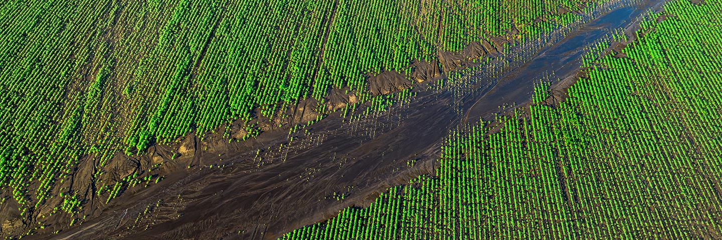 Erosion on Iowa cropland following an evening rainstorm.