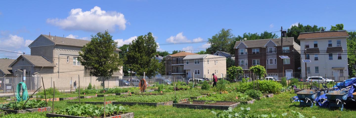 Hawthorne Ave farm in the heart of Newark, NJ during the summer. 