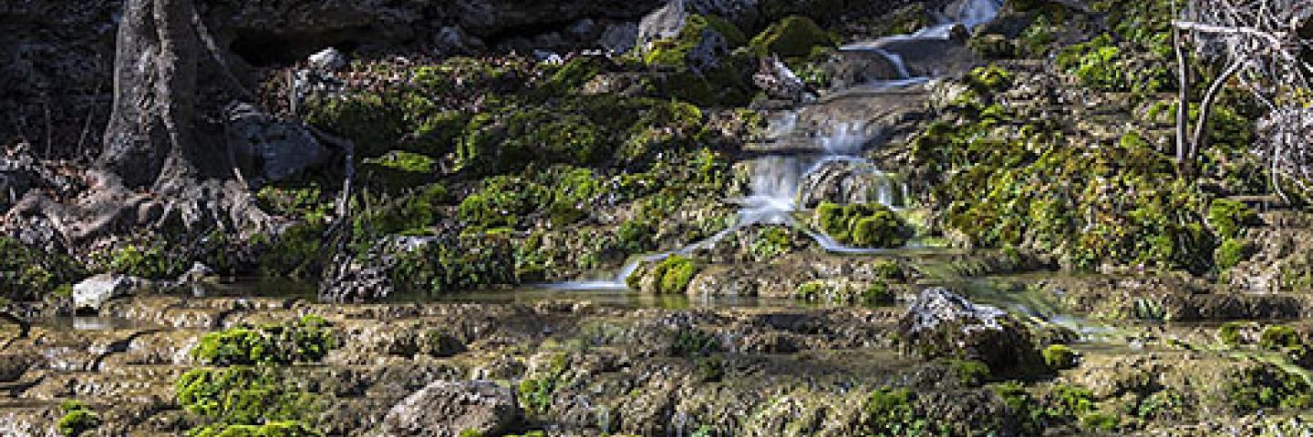 Honey Creek Spring Ranch small waterfall
