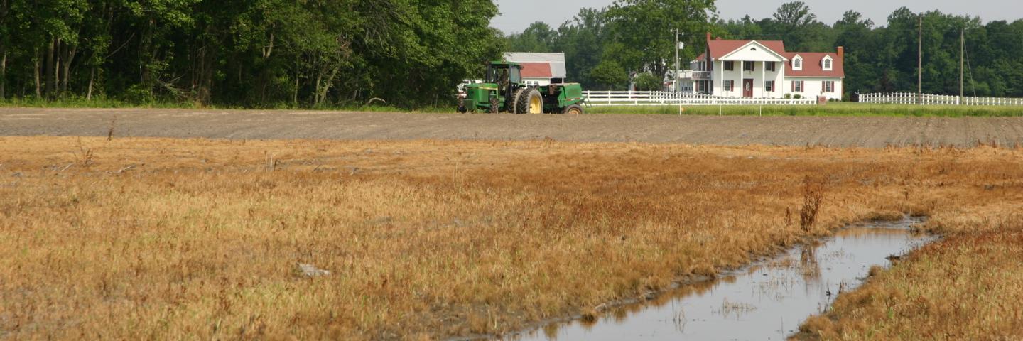 Wet crop field