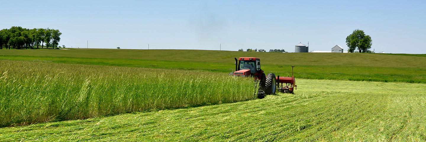 An Iowa farmer roller crimps cereal rye while planting soybeans on organic acres.