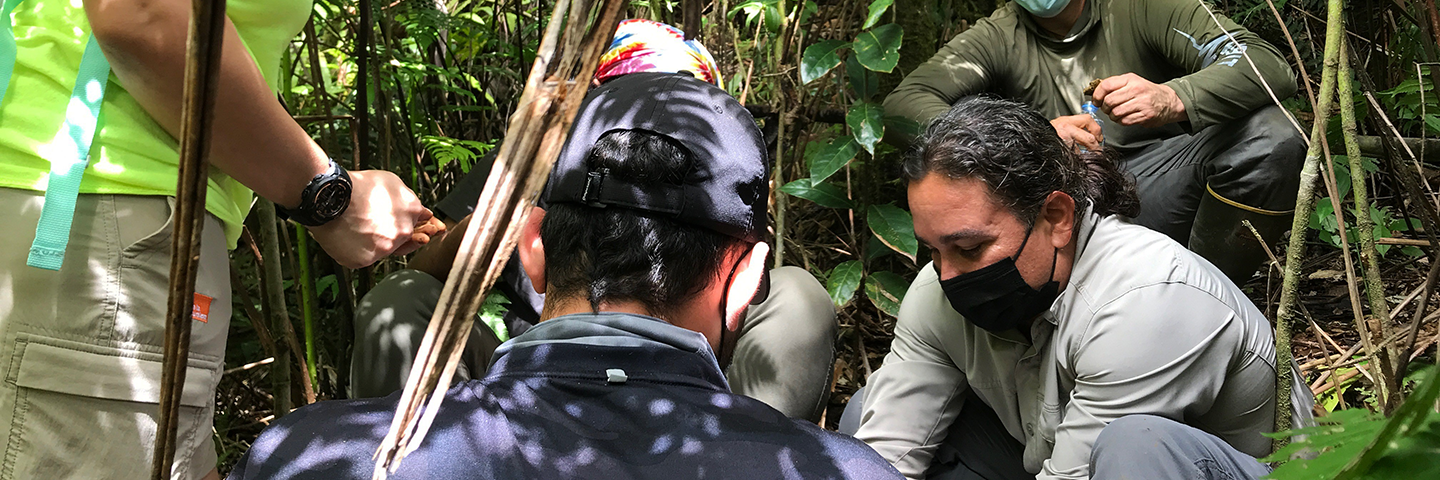 Caribbean State Soil Scientist Manuel Matos and MLRA Soil Survey Leader Samuel Rios conduct a soils field training for USFS El Yunque national forest interpreters on 2 Nov 2021.