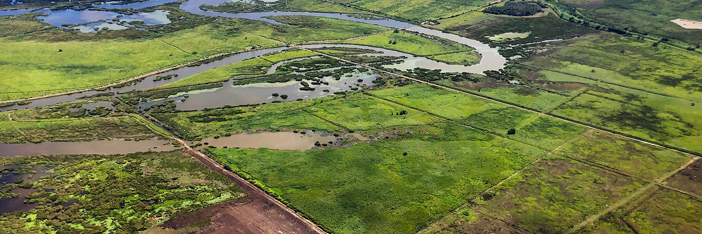 Aerial view of farmed wetlands in Río Grande, Puerto Rico.