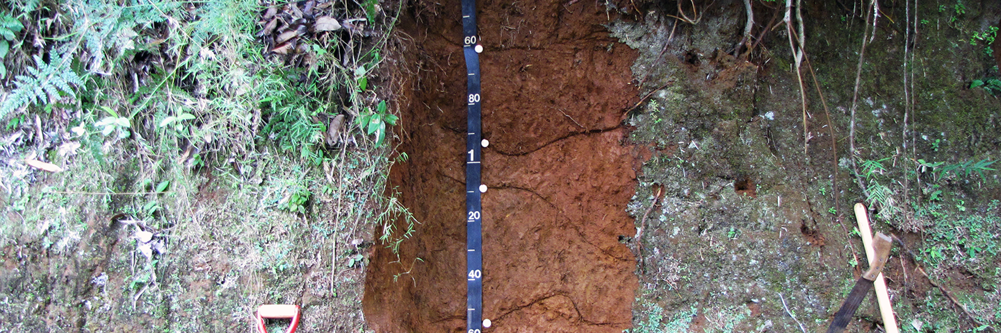 Puerto Rico soil profile.
