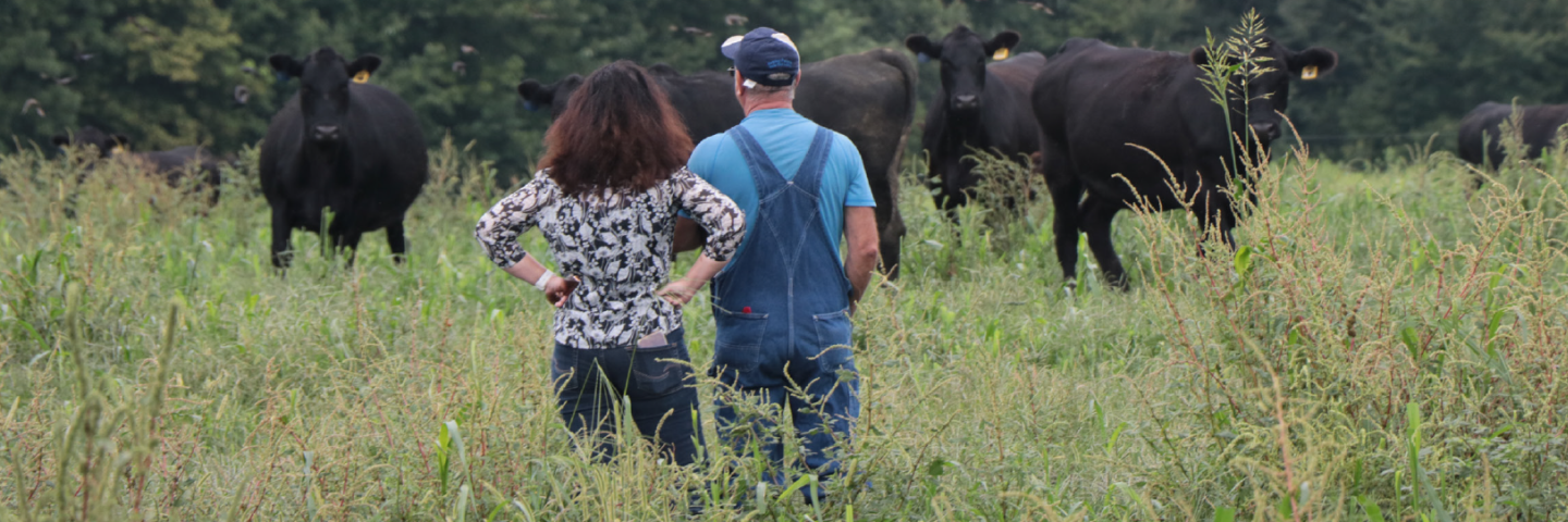 producers with cattle