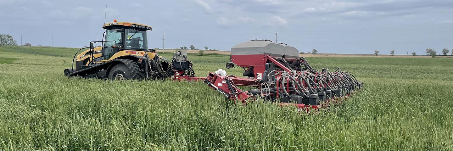 A Buena Vista County farmer plants soybeans into recently terminated cereal rye.
