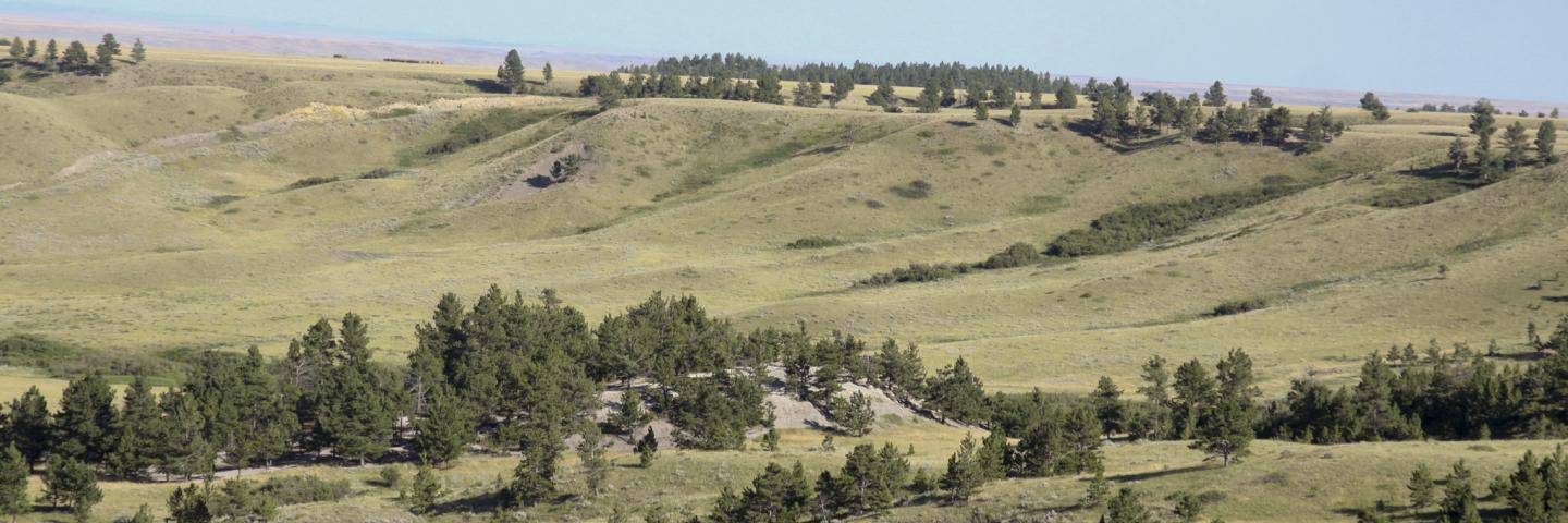 Rangeland on the Fort Belknap Reservation in Montana