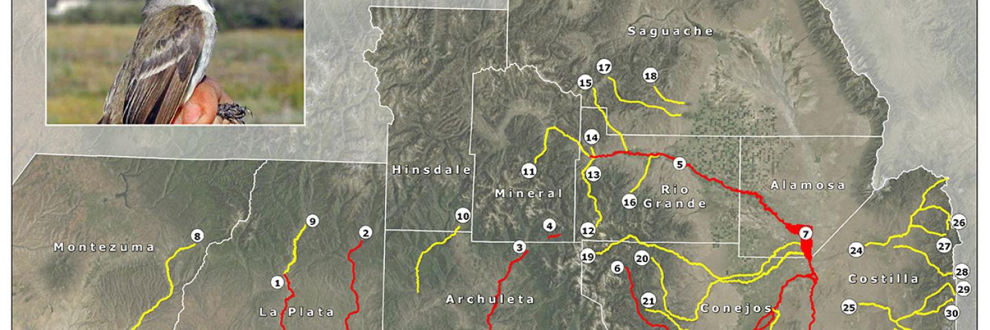 SW_Flycatcher priority area map - Colorado