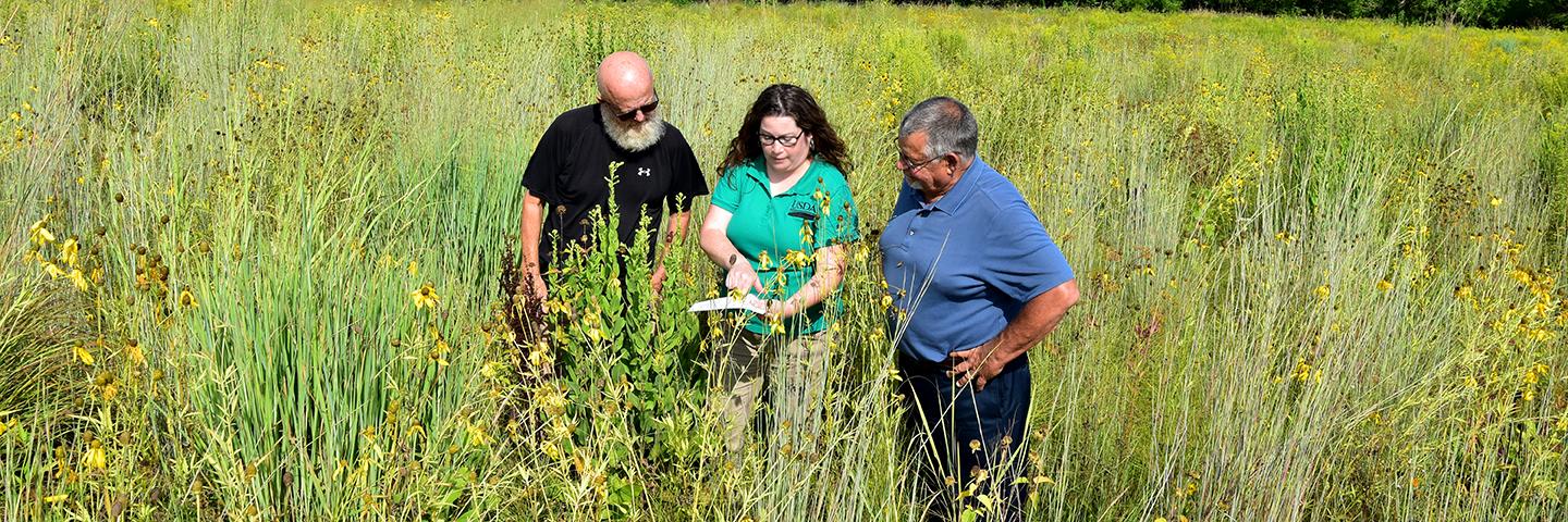 Iowa NRCS District Conservationist meets with neighbors about CRP in Cedar County.
