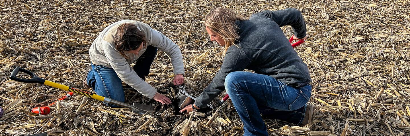 Iowa NRCS soil health specialists inspect soils on corn ground in southwest Iowa.