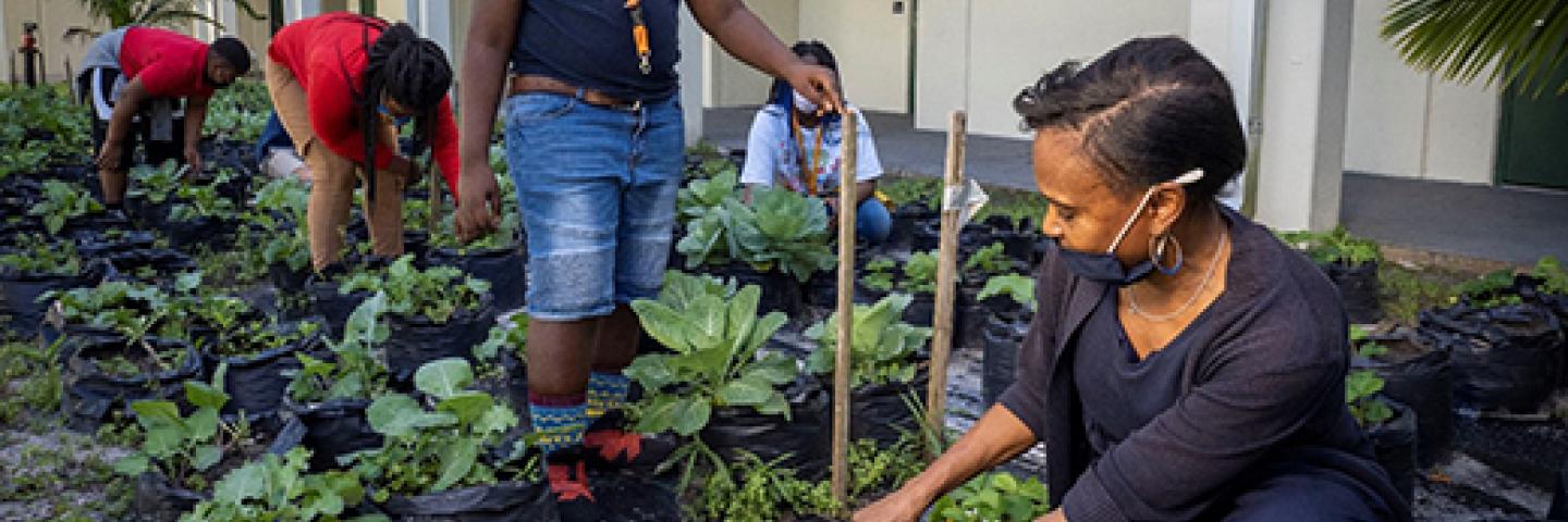 Urban Agriculture-CA