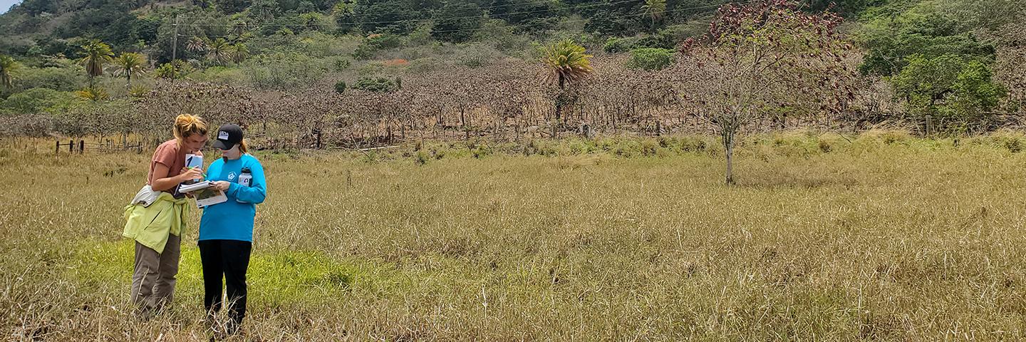 Conservation Compliance
