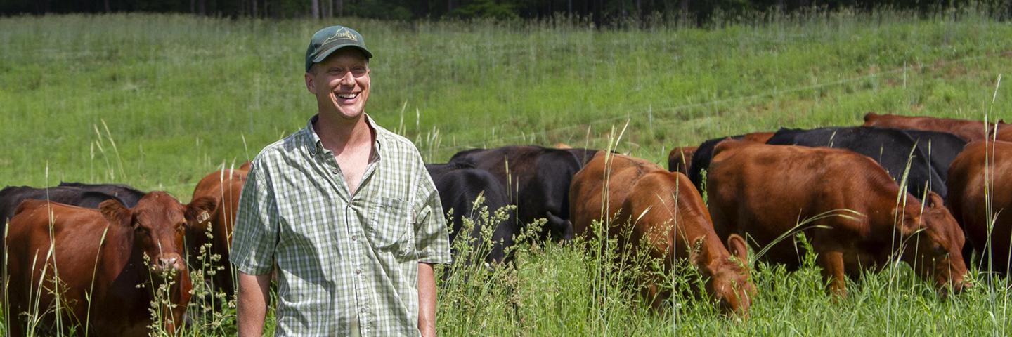 Virginia cattleman in the pasture with his herd