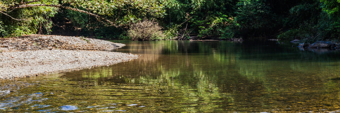 rocky creek in summer