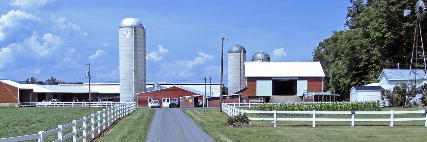 Shenandoah Valley dairy farm buildings