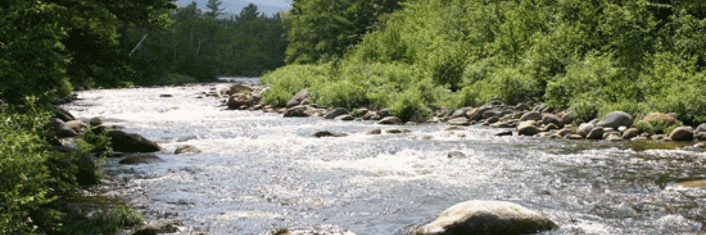 Vermont River