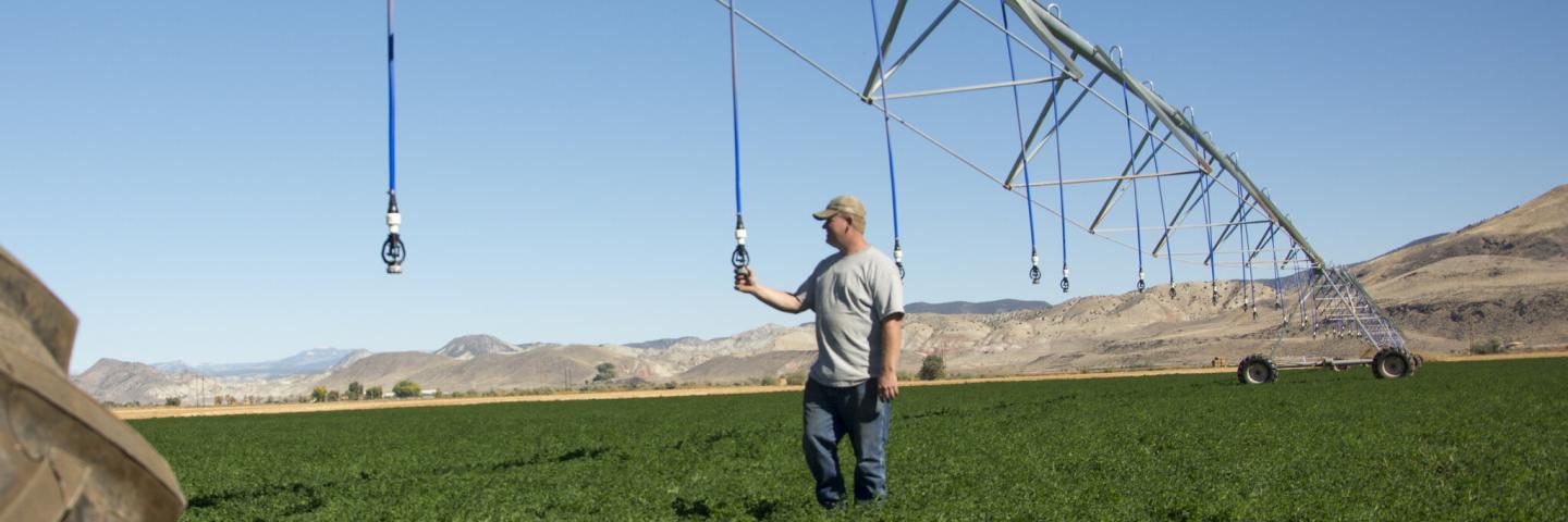 Utah - Irrigation