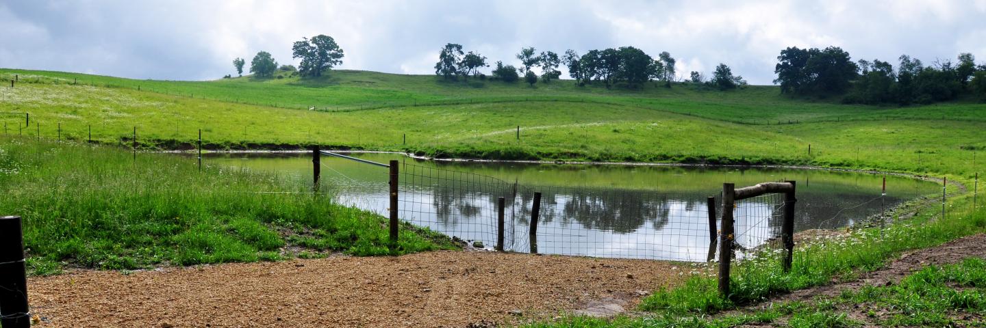 Fenced access ramp is 40 feet long with a stable, engineered flooring to protect it from erosion.