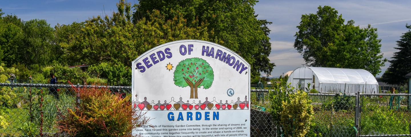 Seeds of Harmony garden sign in front of a chain link fence and a community garden in the midground and with trees and a high tunnel in the background.