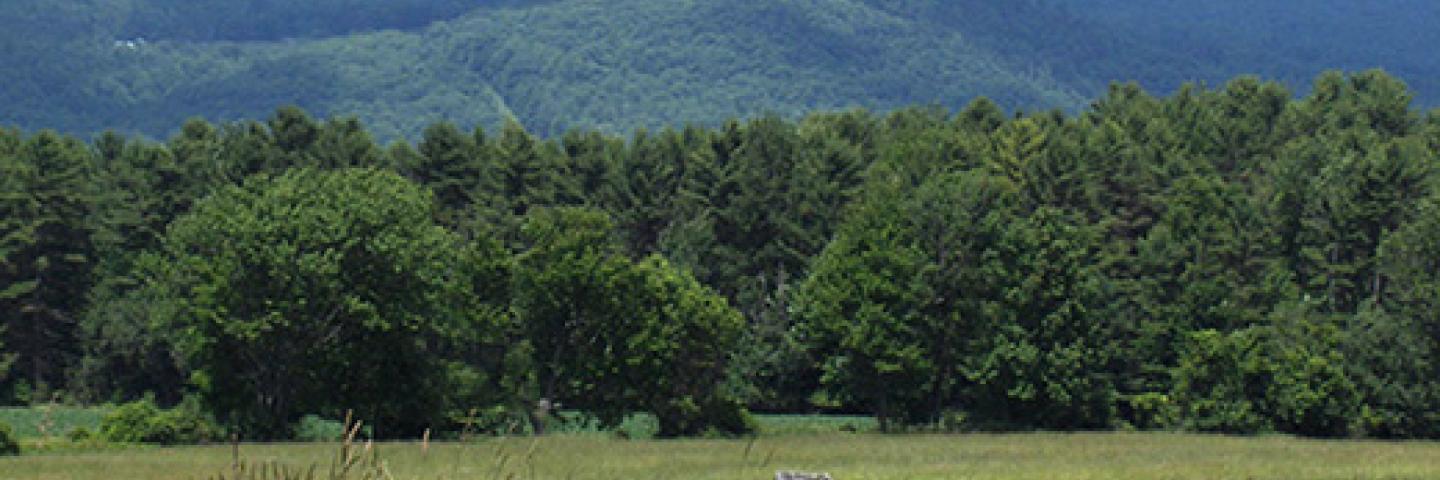 Scenic Connecticut farm