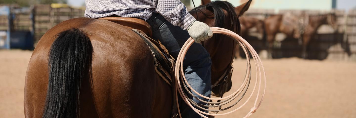 Texas Rodeo
