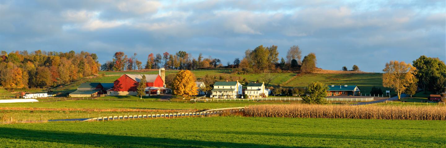 Ohio farm
