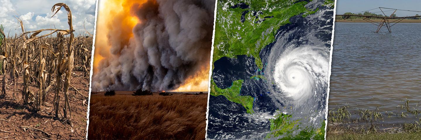 Drought, wildfire, tropical storm and flood