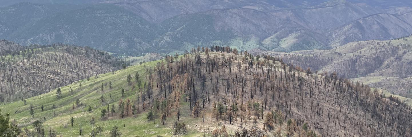 Front Range Joint Chief's Watershed Restoration Project