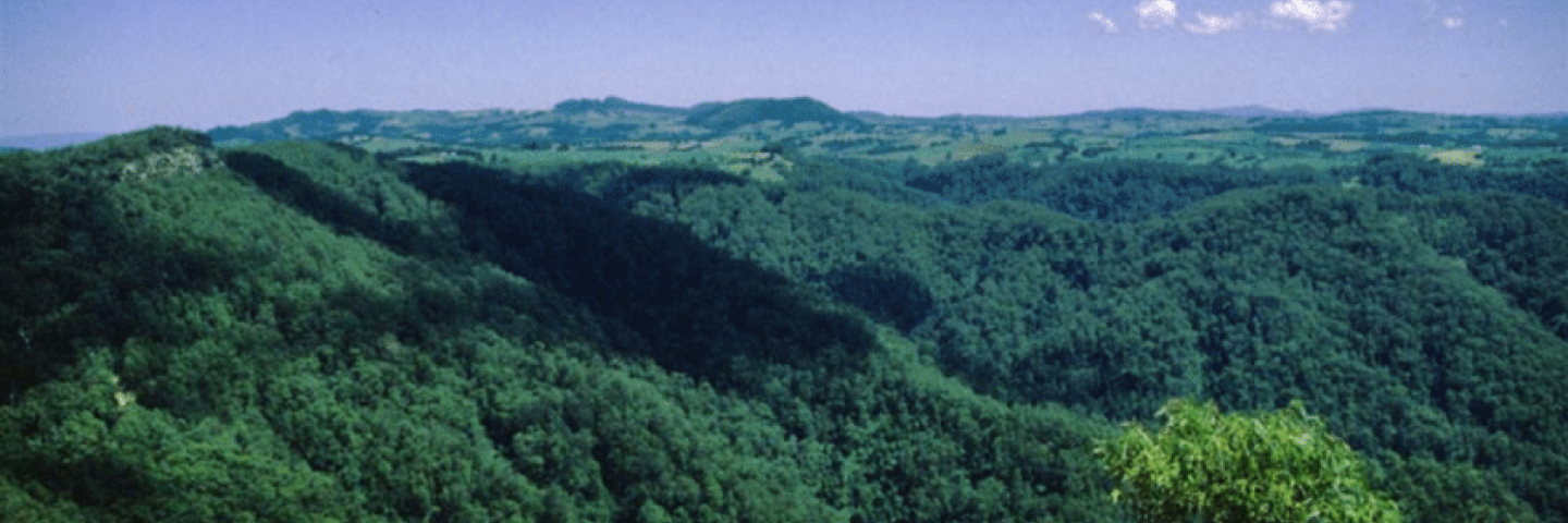 Healthy Forests Reserve Program