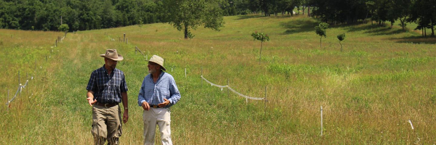 Victor Shelton, Indiana NRCS State Agronomist discusses pasture management practices with Tom Kruer.