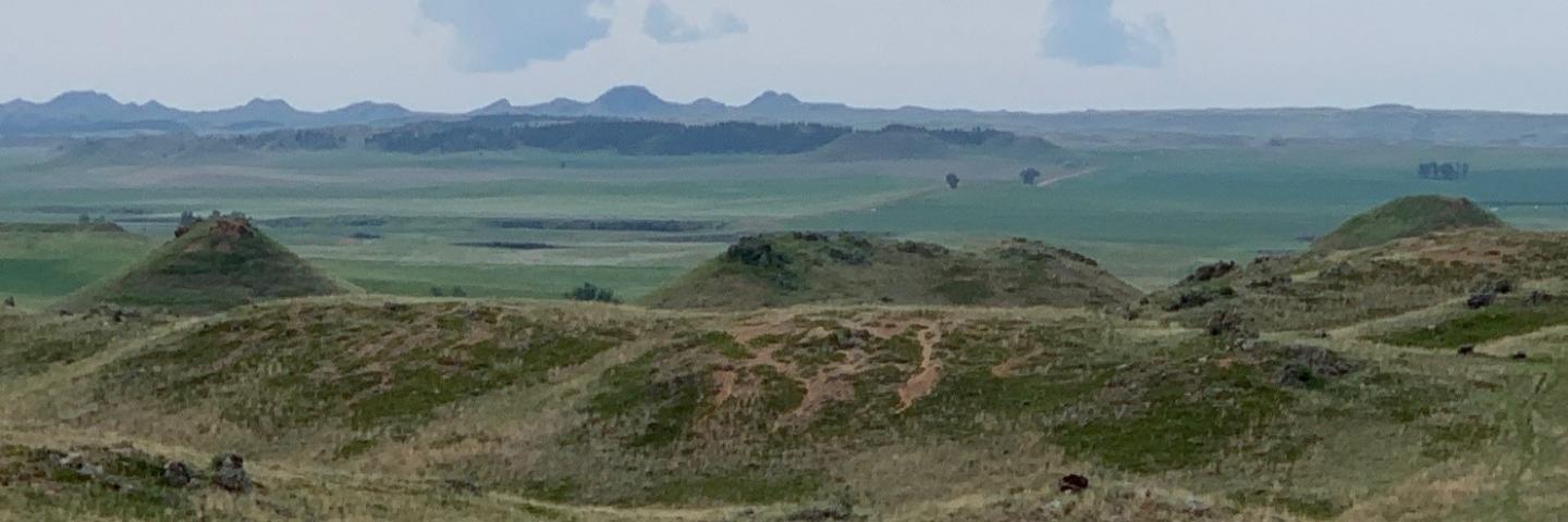 Landscape view of Fallon County, Montana, grass-covered hills in Spring