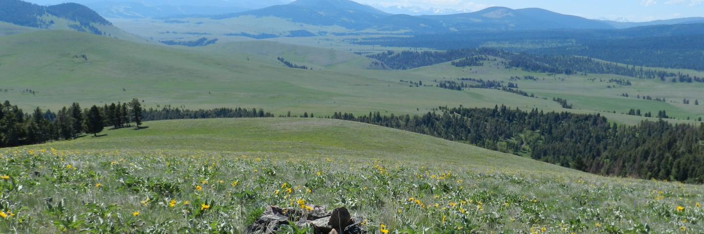 Scenic view of valley and mountains in Granite County, Montana