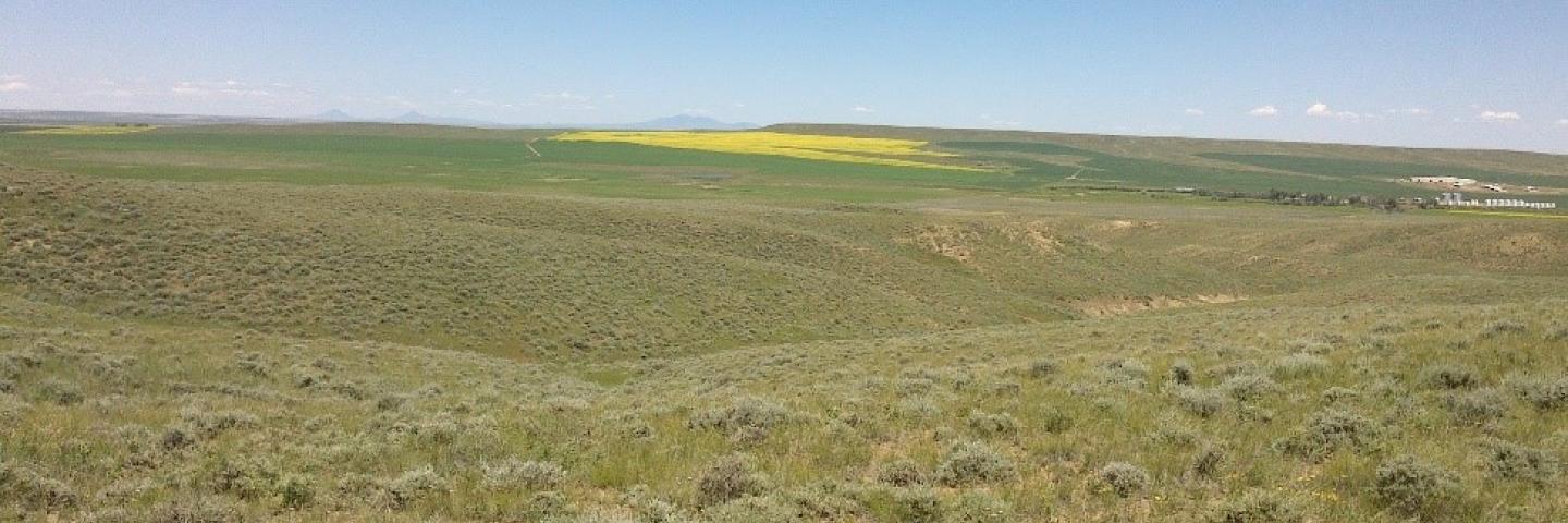 Open country with both rangeland and cropland in Hill County, Montana