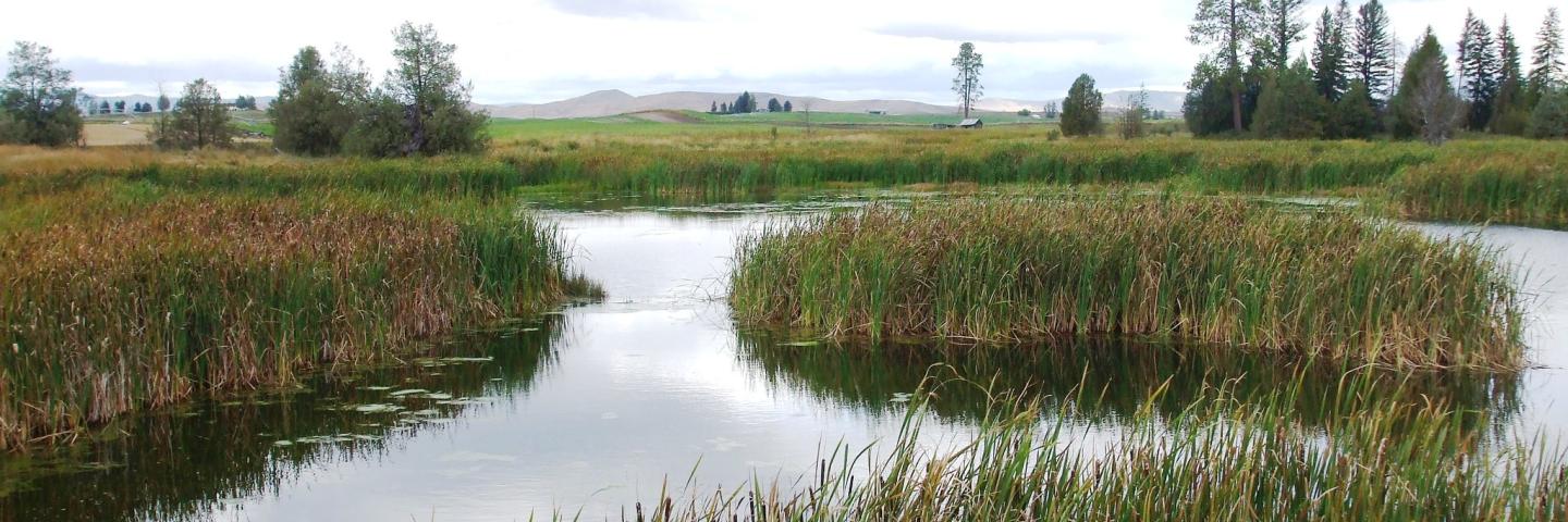 Lake County, Montana wetland