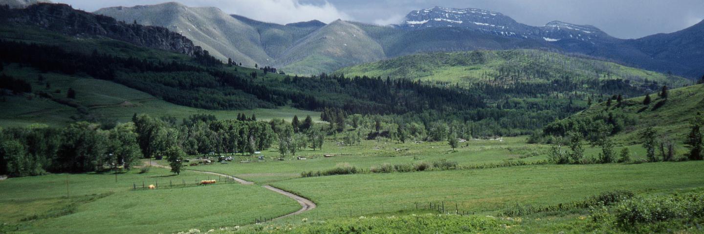 Foothills ranch in Lewis and Clark County, Montana, with high mountains in the distance