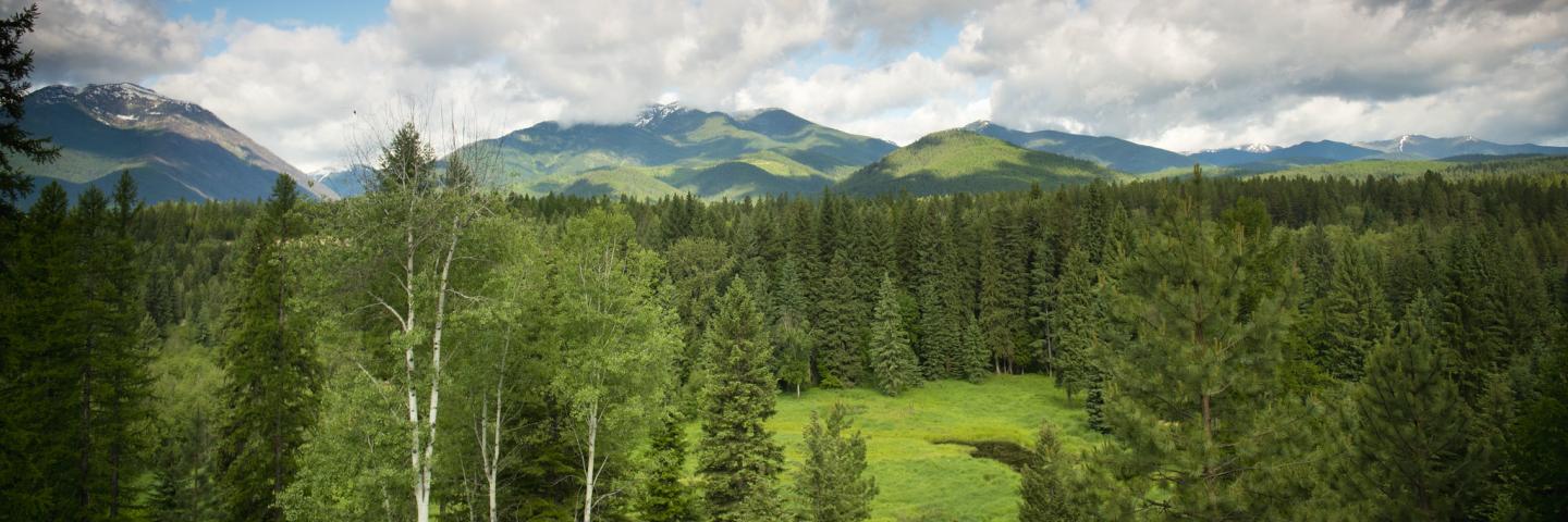 Mountain meadow with pond and stream surrounded by forest in Lincoln County, Montana