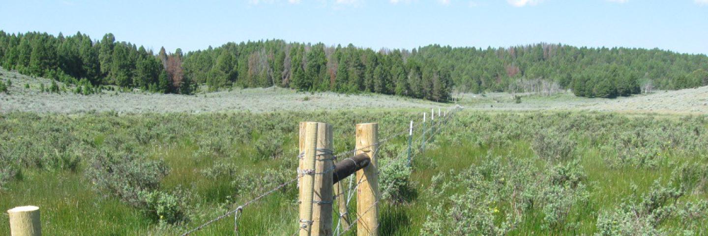 Native range with cross fencing in Meagher County, Montana