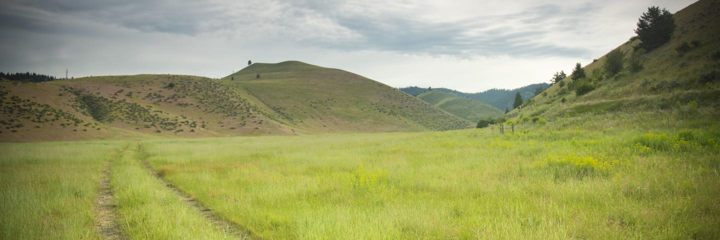 Grassland surrounded by foothills in Missoula County, Montana