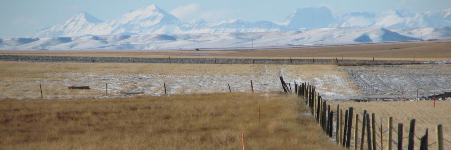 Fenced fields in winter with snowy mountains in the distance, Pondera County, Montana