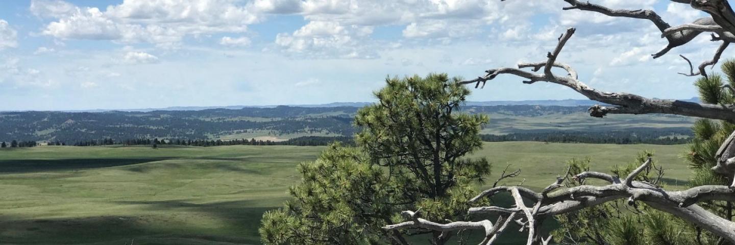 View of Powder River valley from nearby pine-covered heights, Powder River County, Montana