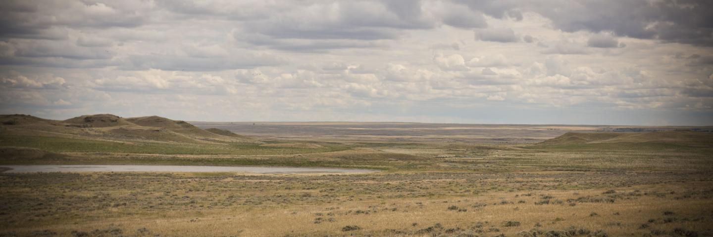 Wide view of open rangeland, Rosebud County, Montana