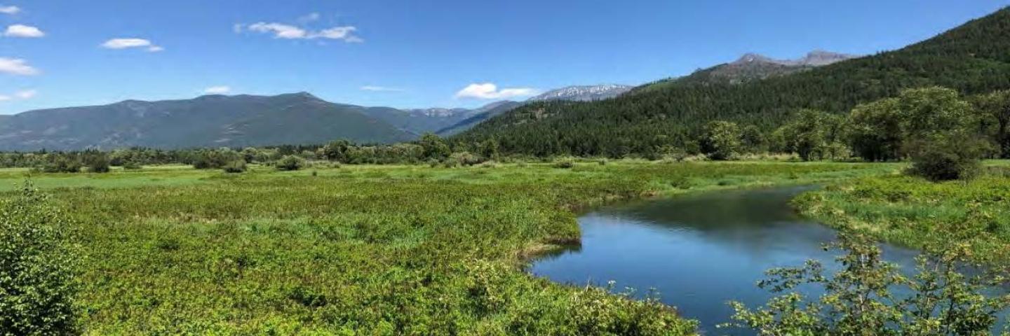 Wetlands along the Bull River, Sanders County, Montana