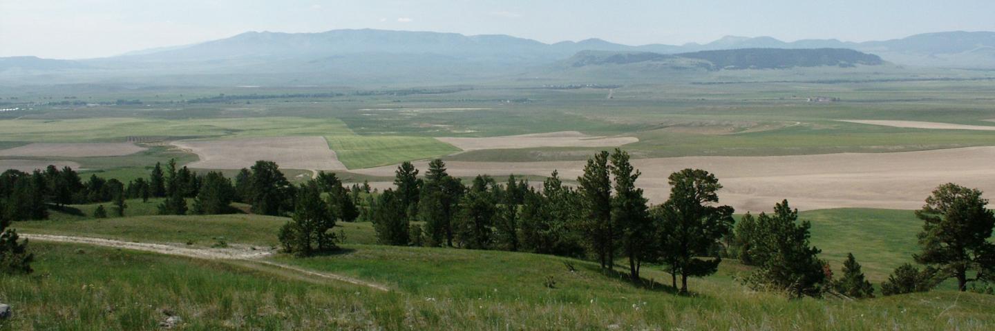 Wide view including rangeland, cropland, and distant hills, Wheatland County, Montana